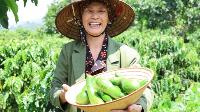 Lâm Đồng: Nông dân Đạ Đờn nâng tầm nông sản