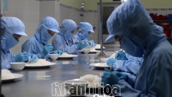 Lai Châu: Mang ấm no, hạnh phúc đến với nhân dân