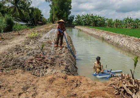 Cần Thơ: Chủ động đảm bảo nguồn nước ngọt cho sản xuất nông nghiệp
