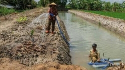 Cần Thơ: Chủ động đảm bảo nguồn nước ngọt cho sản xuất nông nghiệp