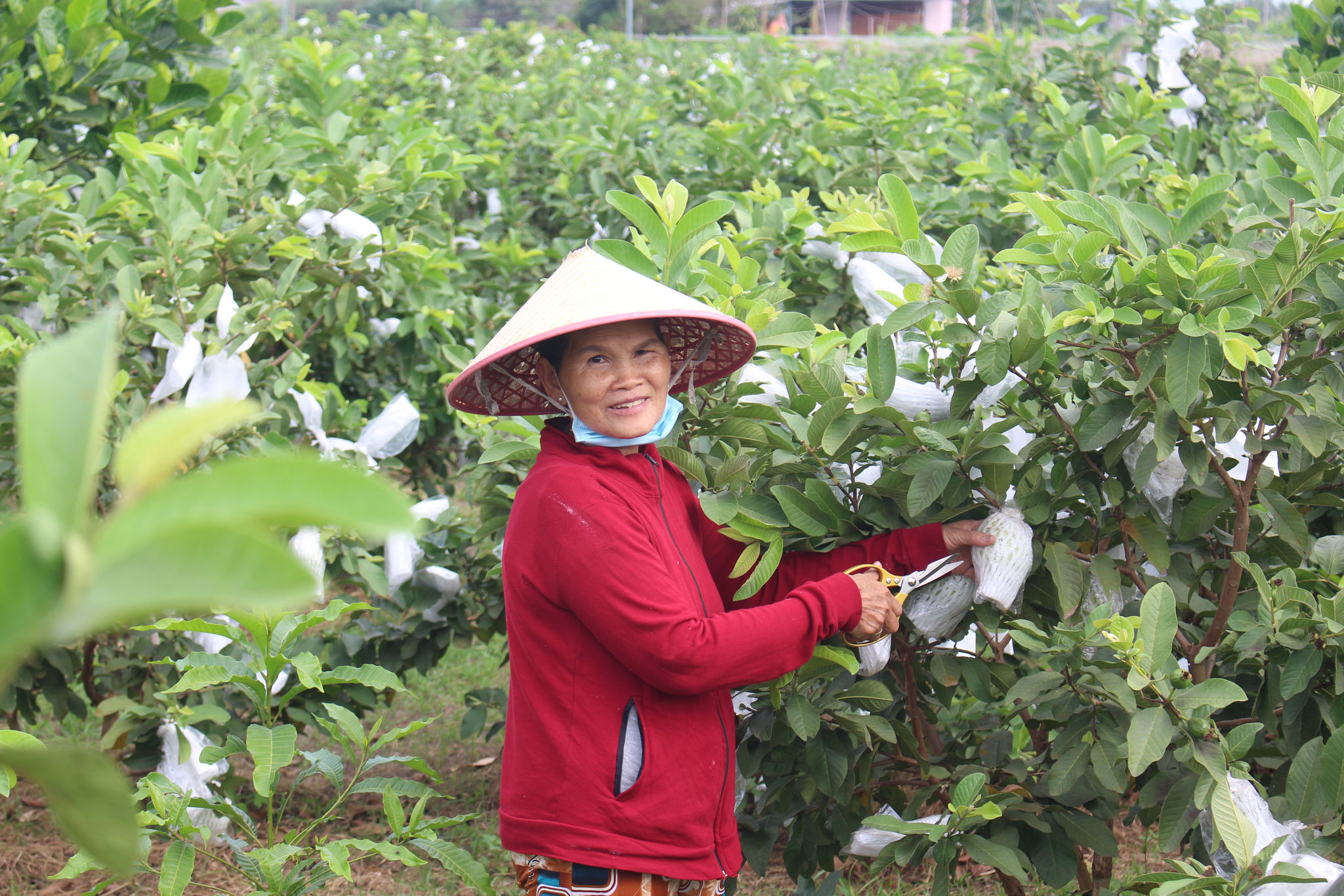Lâm Đồng: Tiếp sức cho phụ nữ nông thôn vươn lên thoát nghèo