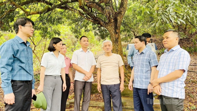 Tuyên Quang: "Giữ lửa” ở cơ sở