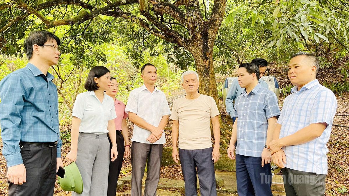 Tuyên Quang: "Giữ lửa” ở cơ sở