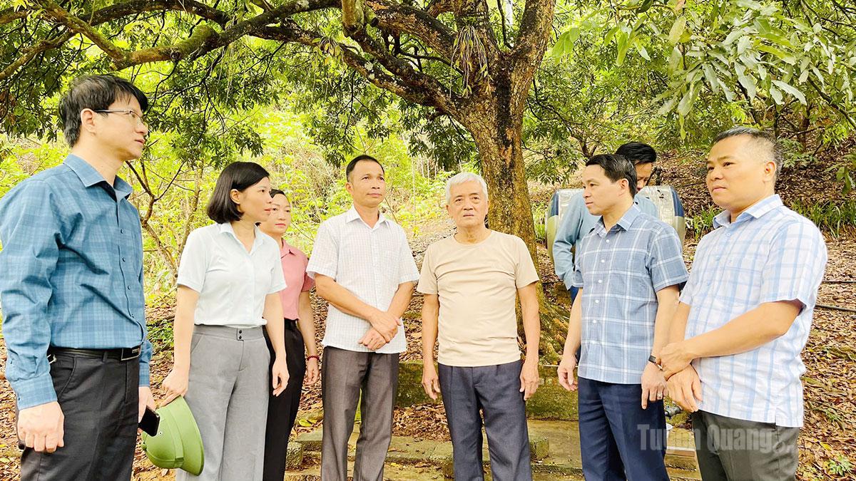 Tuyên Quang: "Giữ lửa” ở cơ sở