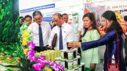 "Đòn bẩy" thúc đẩy cung cầu công nghệ, đưa sản phẩm chủ lực của Cần Thơ vươn xa