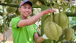 Nông dân Lâm Ðồng hướng tới nền nông nghiệp xanh, bền vững