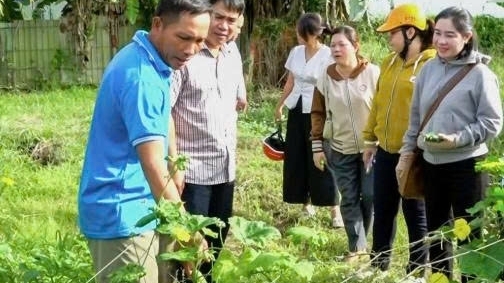 Cần Thơ: Phát huy hiệu quả các mô hình Dân vận khéo