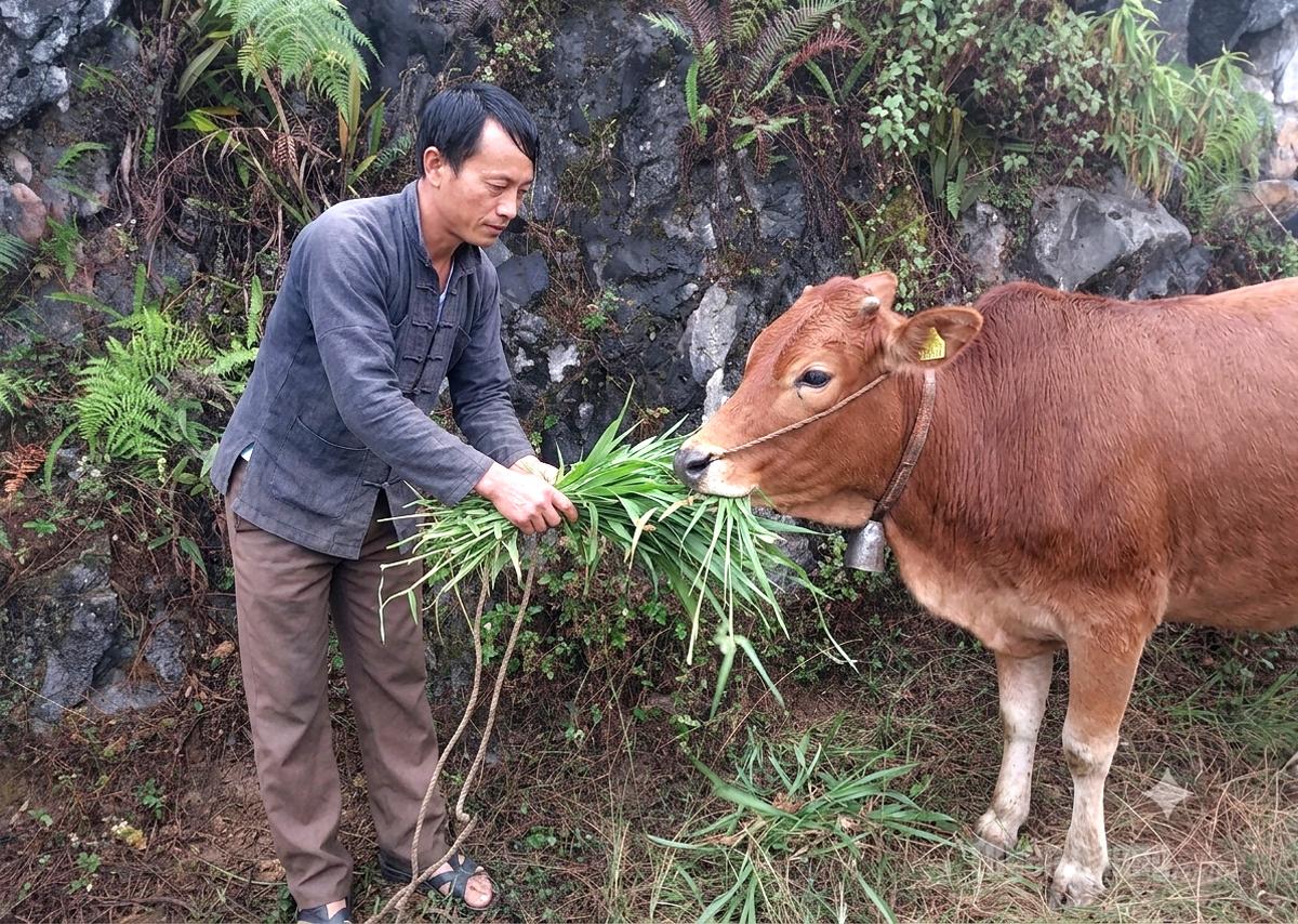 Tuyên Quang: Đổi thay từ những mô hình sinh kế