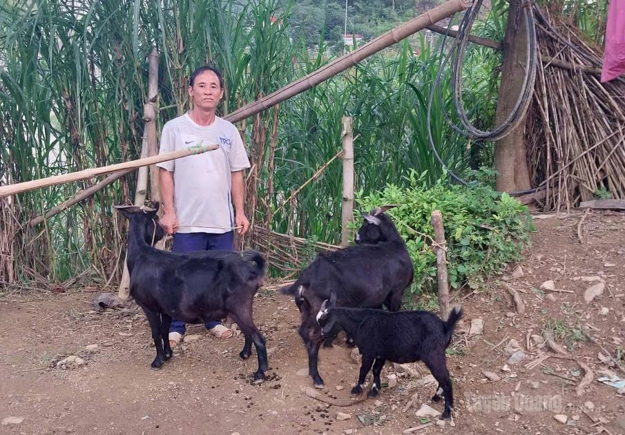 Tuyên Quang: Đổi thay từ những mô hình sinh kế
