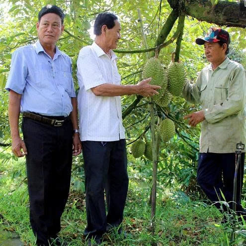 Cần Thơ: Lan tỏa tinh thần sáng tạo, làm giàu