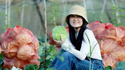 Lâm Đồng: Có làng du lịch bên dòng Đa Nhim