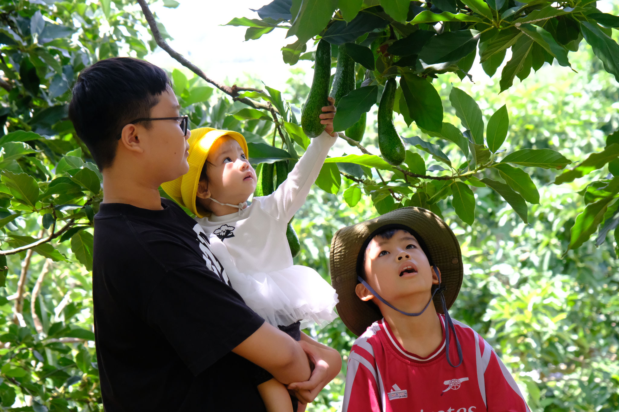 Lâm Đồng: Có làng du lịch bên dòng Đa Nhim
