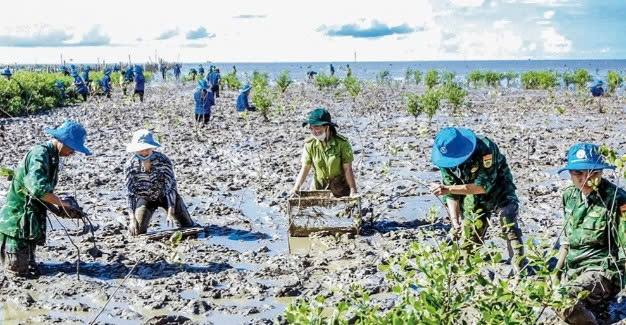 Cần Thơ: Tăng cường trồng cây xanh bảo vệ môi trường, chống sạt lở