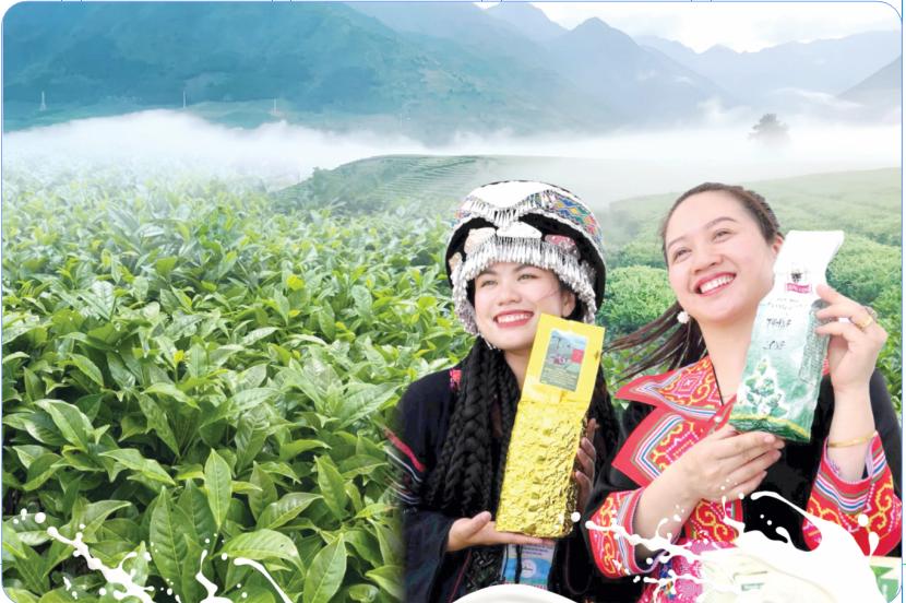 Lai Châu: Mở rộng thị trường, phát triển bền vững