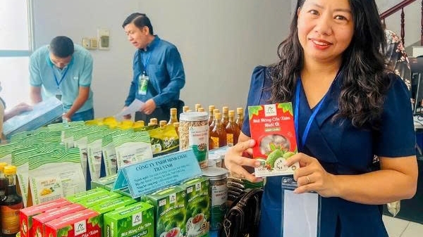 Cần Thơ: Khởi nghiệp, tạo thêm sinh kế cho người dân Khmer từ cây mãng cầu xiêm