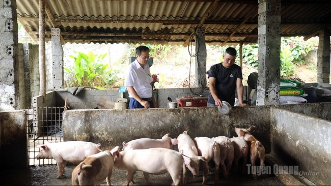 Tuyên Quang: Tiếp sức phát triển nông nghiệp, nông thôn