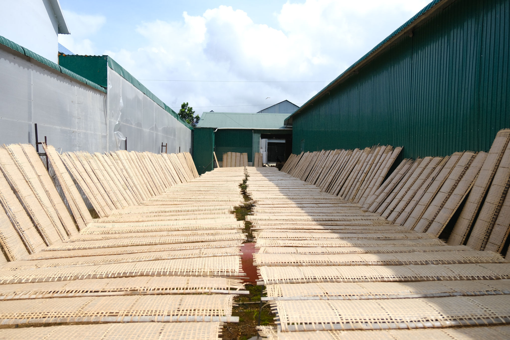 Lâm Đồng: OCOP tạo giá trị mới cho bánh tráng làng Tày
