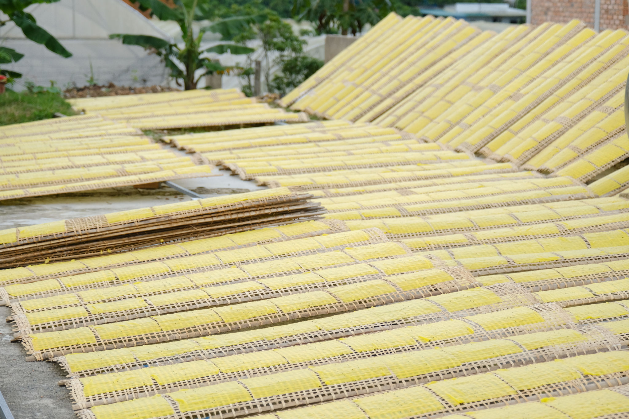 Lâm Đồng: OCOP tạo giá trị mới cho bánh tráng làng Tày
