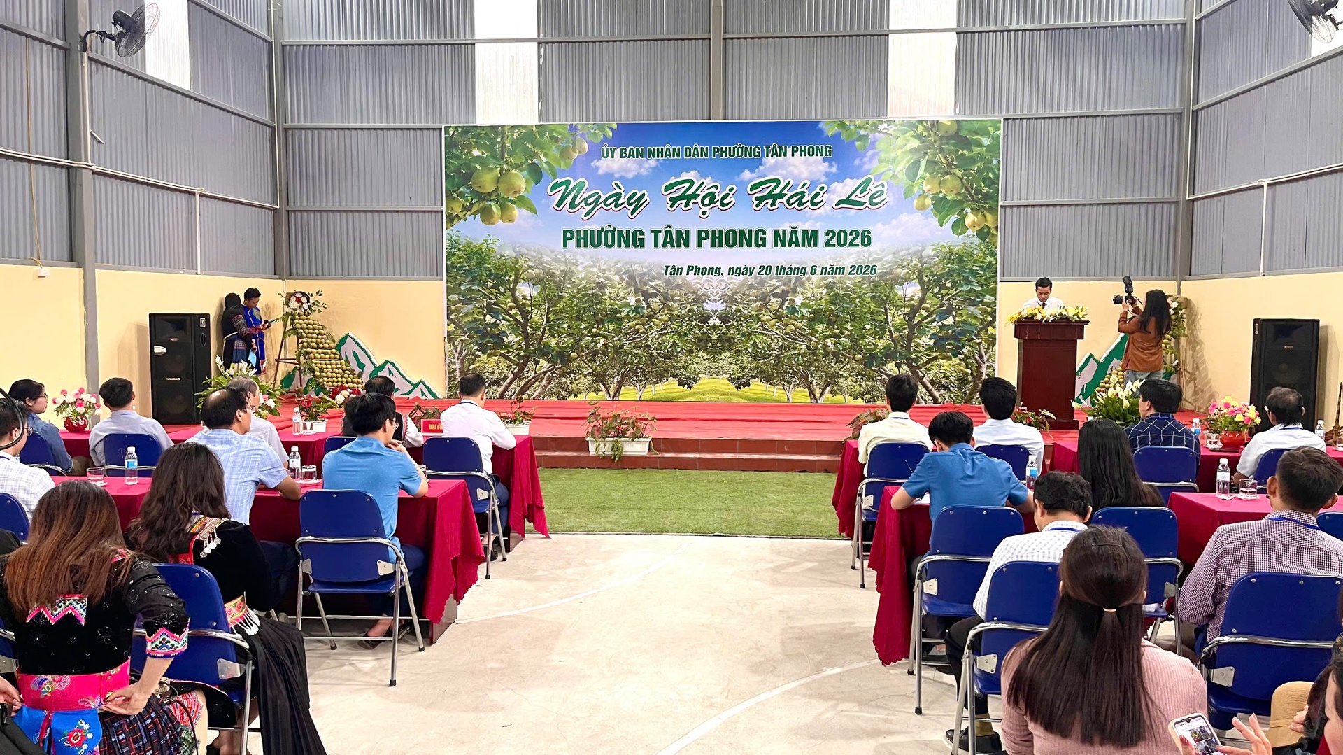Lai Châu: Ngày hội hái Lê phường Tân Phong năm 2026