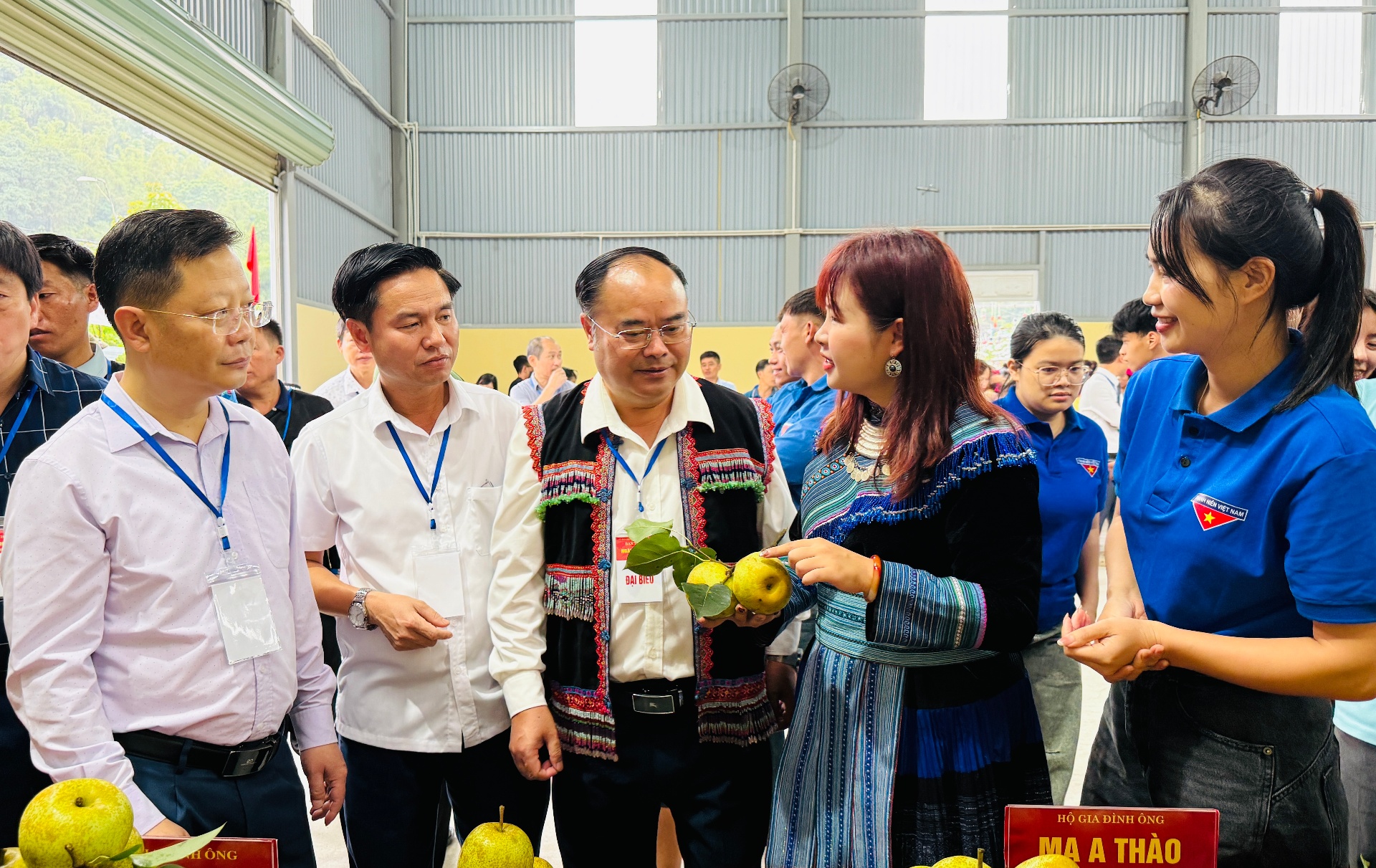 Lai Châu: Ngày hội hái Lê phường Tân Phong năm 2026