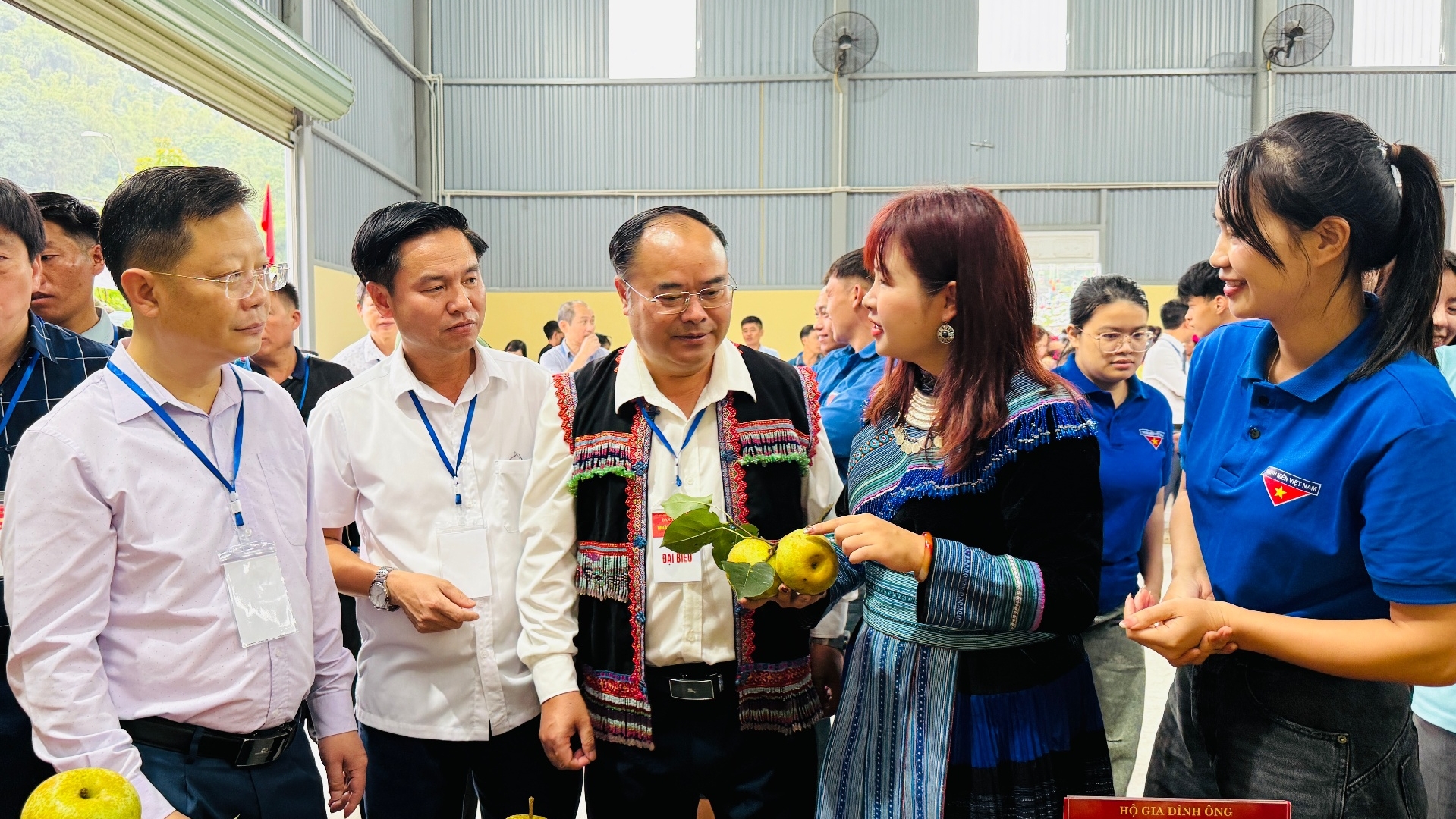 Lai Châu: Ngày hội hái Lê phường Tân Phong năm 2026