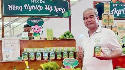 Cần Thơ: "Khoác áo mới" cho trái chanh không hạt Mỹ Long