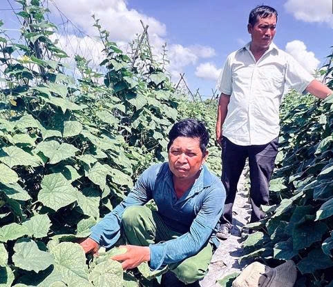 Cần Thơ: Nông dân dám nghĩ, dám làm