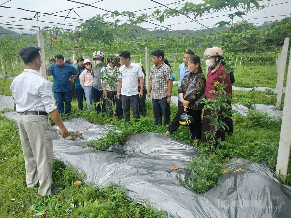 Tuyên Quang: Cụ thể hóa nghị quyết thành hành động thực tiễn