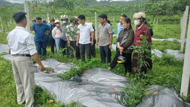 Tuyên Quang: Cụ thể hóa nghị quyết thành hành động thực tiễn