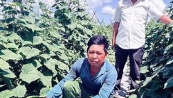 Cần Thơ: Nông dân dám nghĩ, dám làm