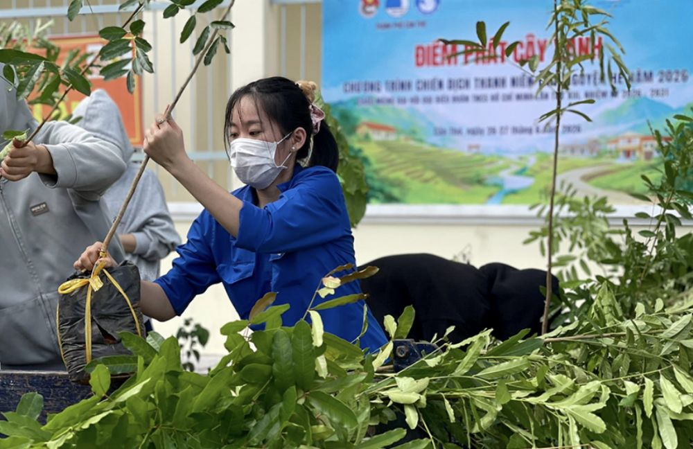Cần Thơ: Cấp phát 1.600 cây xanh xây dựng mô hình tuyến đường xanh - sạch - đẹp