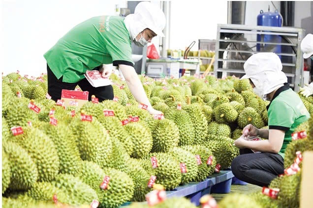 Cần Thơ: Đổi mới tư duy, nâng cao năng lực thích ứng