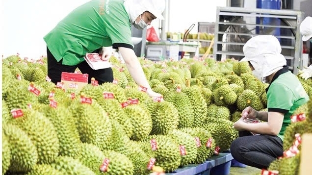 Cần Thơ: Đổi mới tư duy, nâng cao năng lực thích ứng