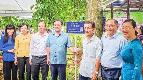 Cần Thơ: Phát huy hiệu quả vườn cây măng cụt