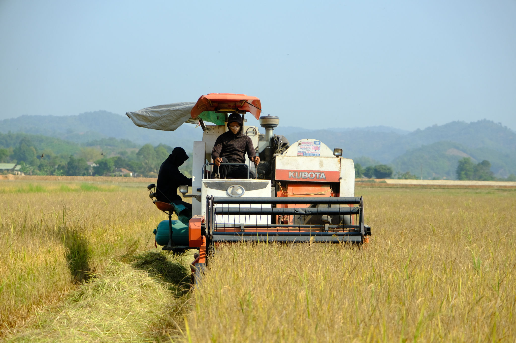 Lâm Đồng: Nông nghiệp tạo động lực cho mục tiêu tăng trưởng "2 con số"