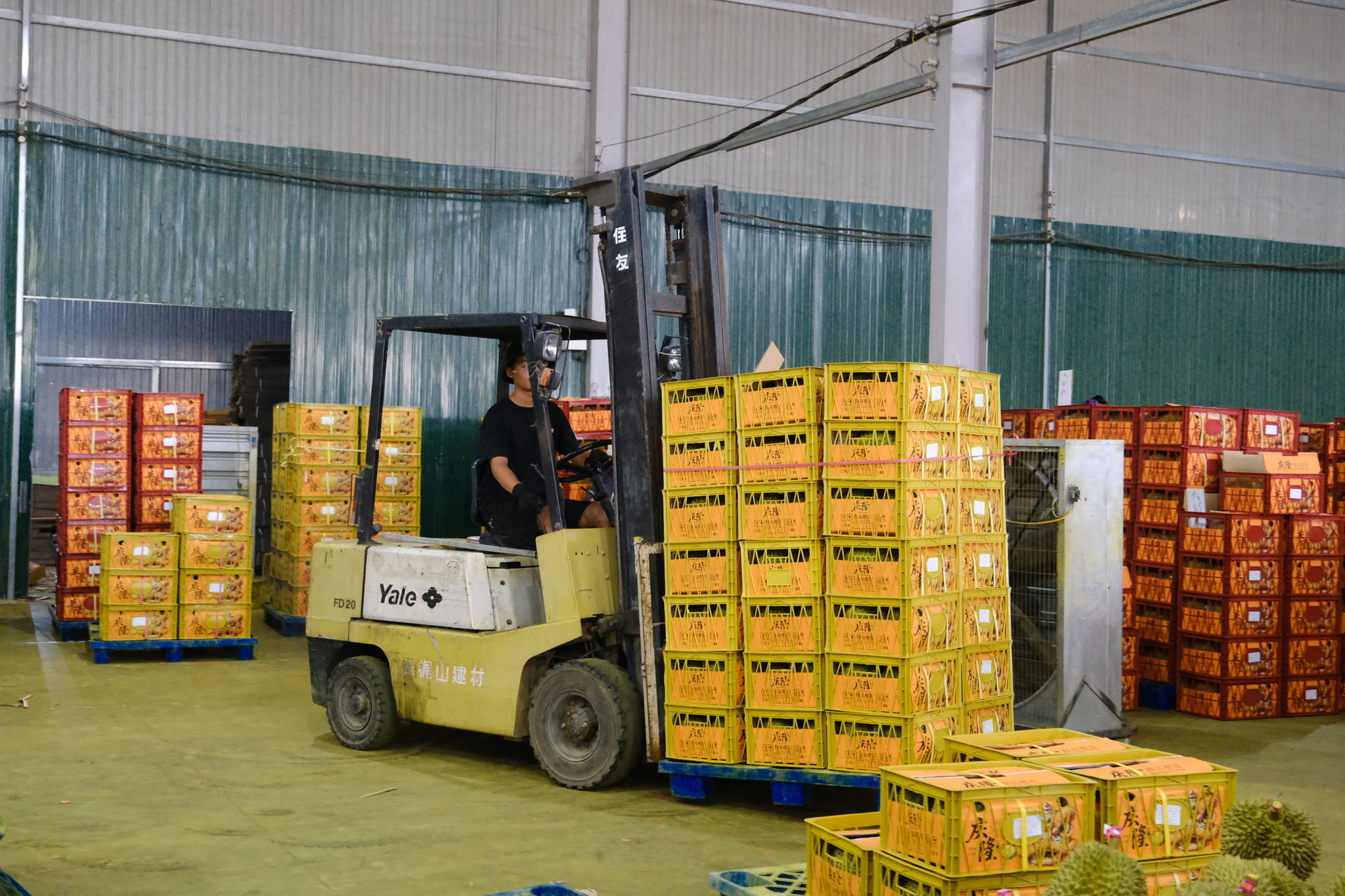 Lâm Đồng: Nông nghiệp tạo động lực cho mục tiêu tăng trưởng "2 con số"