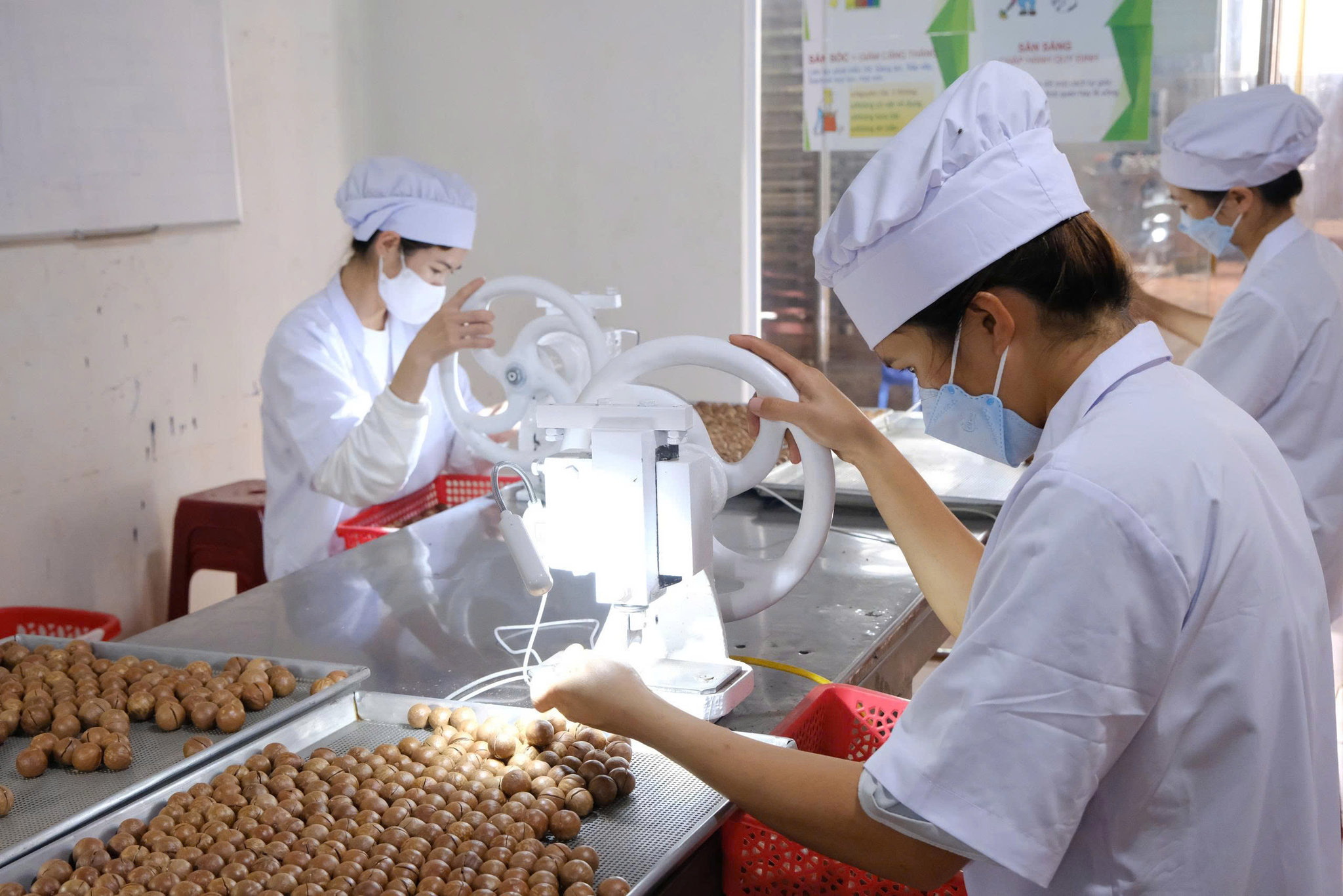 Lâm Đồng: Nông nghiệp tạo động lực cho mục tiêu tăng trưởng "2 con số"