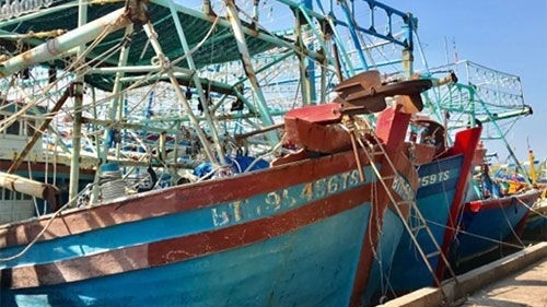 Bình Thuận: Bám biển hay nằm bờ?