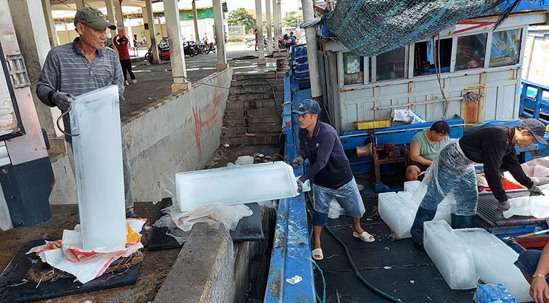 Phú Yên: Kiên trì vươn khơi bám biển