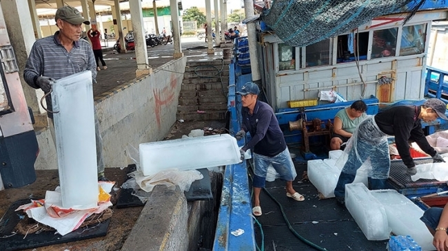 Phú Yên: Kiên trì vươn khơi bám biển