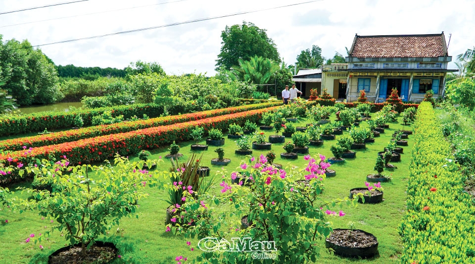 Cà Mau: Cổ tích bên bờ sông Đầm