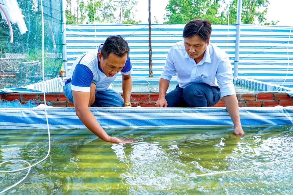 Cà Mau: Cổ tích bên bờ sông Đầm