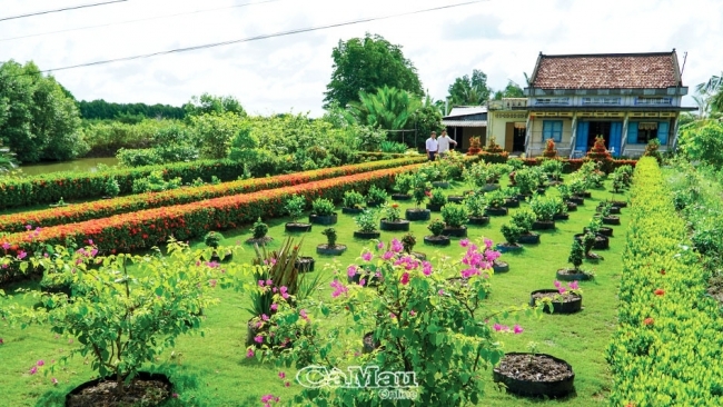 Cà Mau: Cổ tích bên bờ sông Đầm