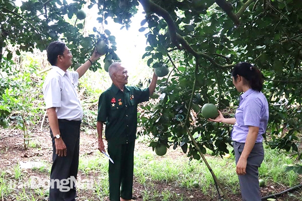 Đồng Nai: Những thương binh 