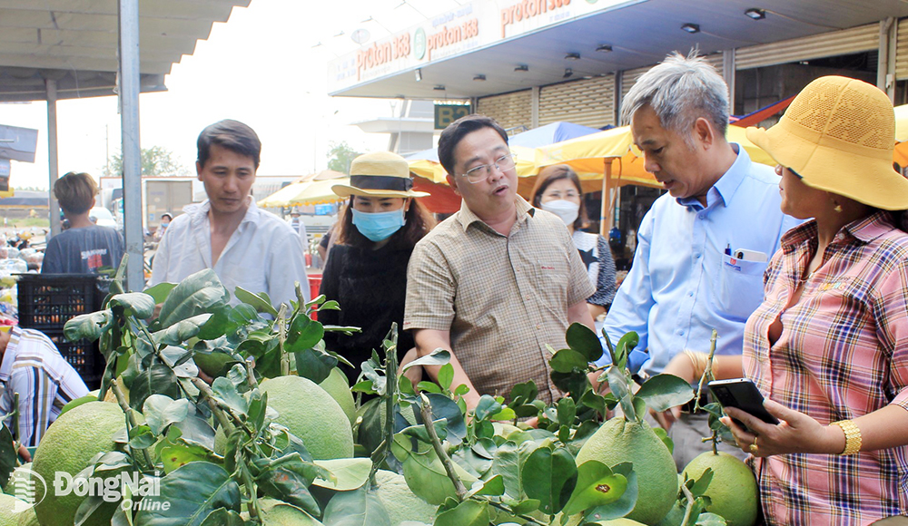 Đồng Nai: Nông dân tìm cách bán sản phẩm