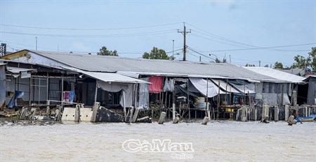 Cà Mau: Sạt lở “ngăn đường” về đích nông thôn mới