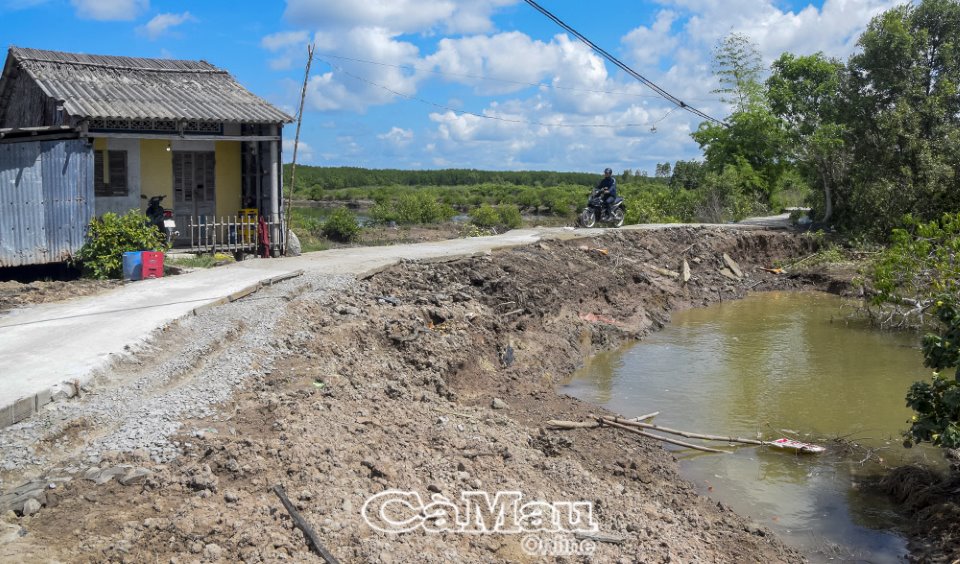 Cà Mau: Sạt lở “ngăn đường” về đích nông thôn mới