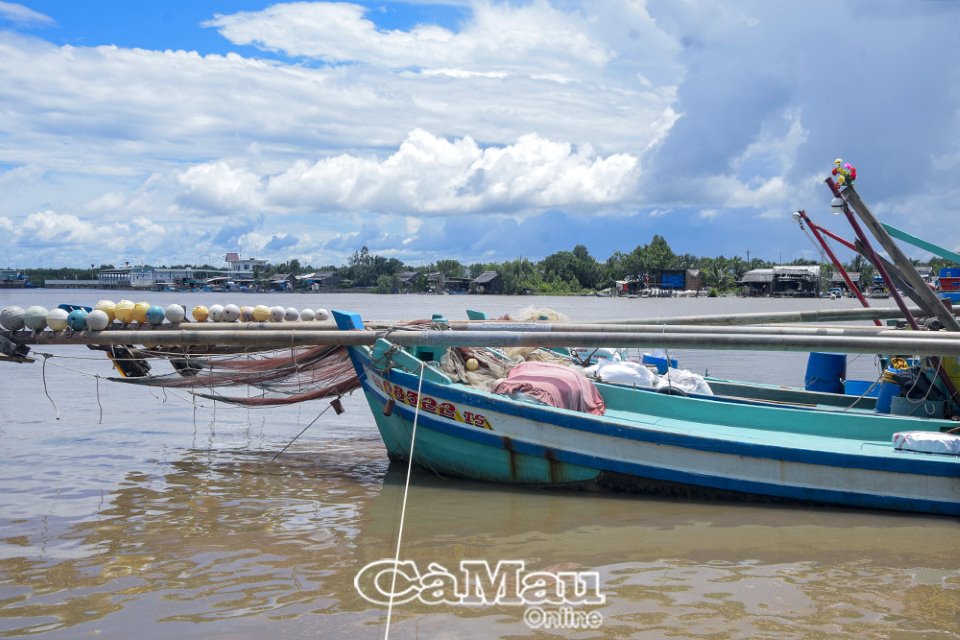 Cà Mau: Trở lại làng cá Hố Gùi