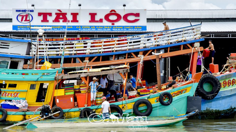 Cà Mau quyết tâm chống khai thác IUU