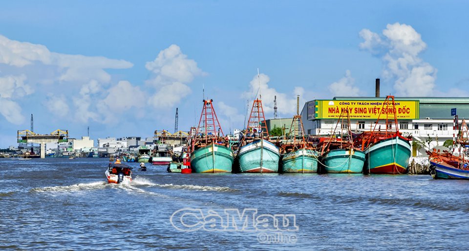 Cà Mau: Cải cách toàn diện để đột phá